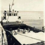0e3cab0a102147ad91c0cefafd19440b150x150